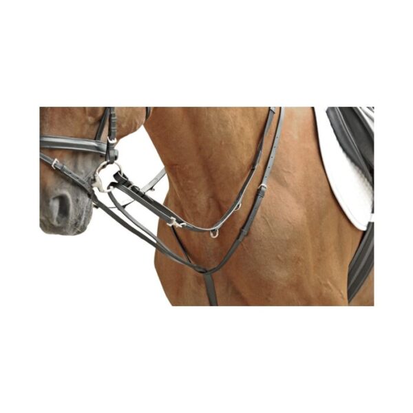 Martingale Harborough - immagine 2