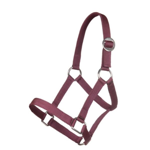 Collare per la testa per Mini-shetty - immagine 3