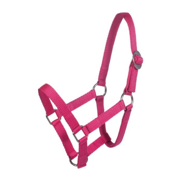 Collare per la testa per Mini-shetty - immagine 5