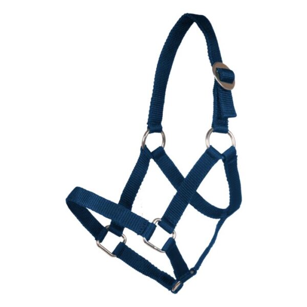 Collare per la testa per Mini-shetty - immagine 6