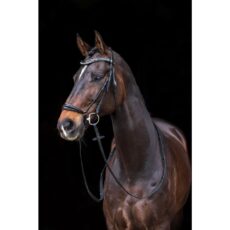 Briglia -Carolin-