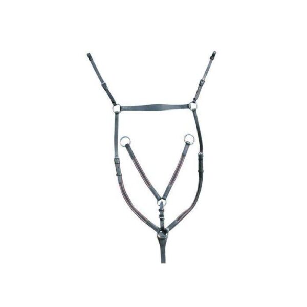 Accessori per pettorale/martingala in argento