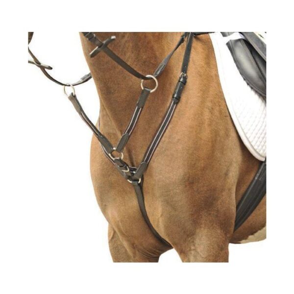 Accessori per pettorale/martingala in argento - immagine 2