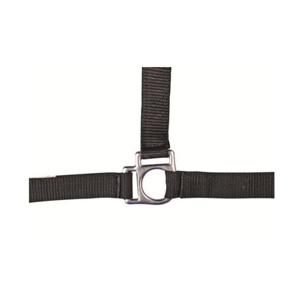 Collare -Star- con morbida imbottitura - immagine 12
