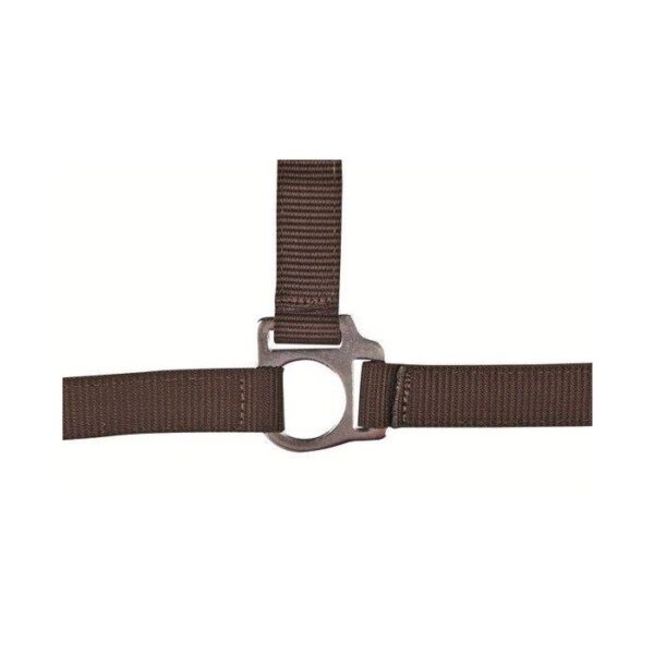 Collare -Stars Economy- - immagine 5
