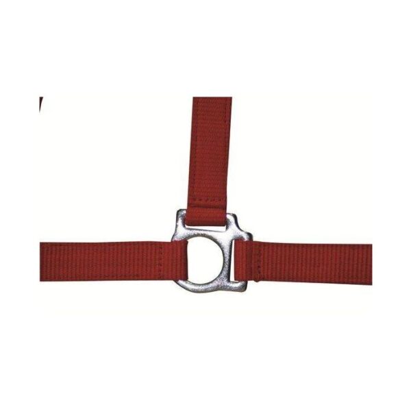 Collare -Stars Economy- - immagine 6