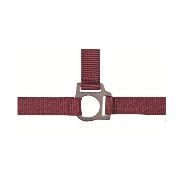 Collare -Stars Economy- - immagine 7