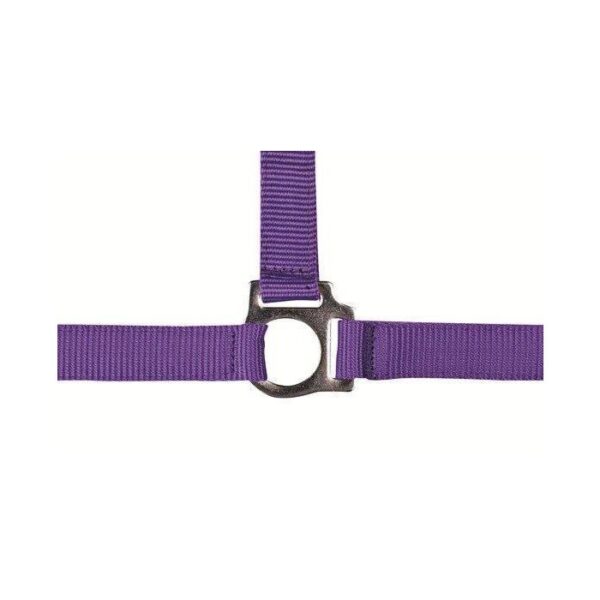 Collare -Stars Economy- - immagine 9