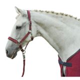 Longhina -Stars- con gancio antipanico