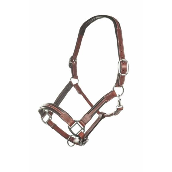 Collare in pelle -Soft- - immagine 3