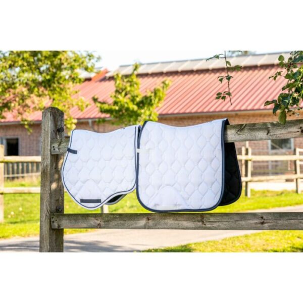 Sottosella -Concorso di Dressage- - immagine 3