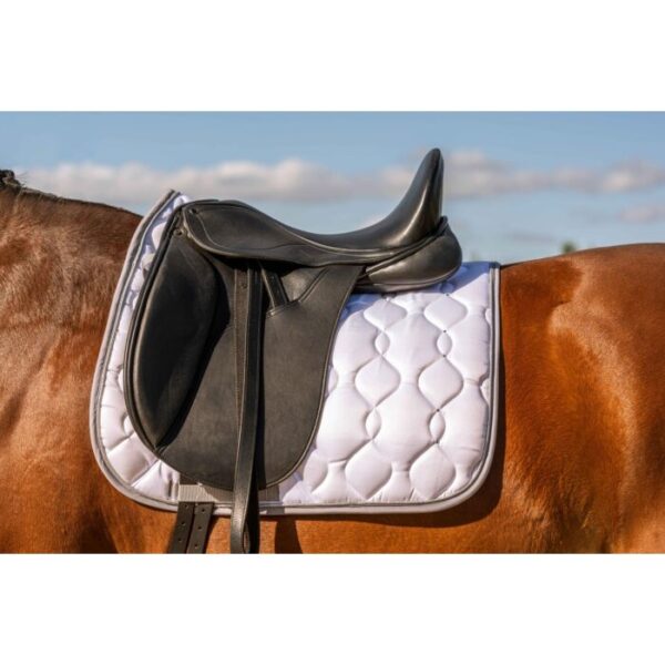 Sottosella -Concorso di Dressage- - immagine 5