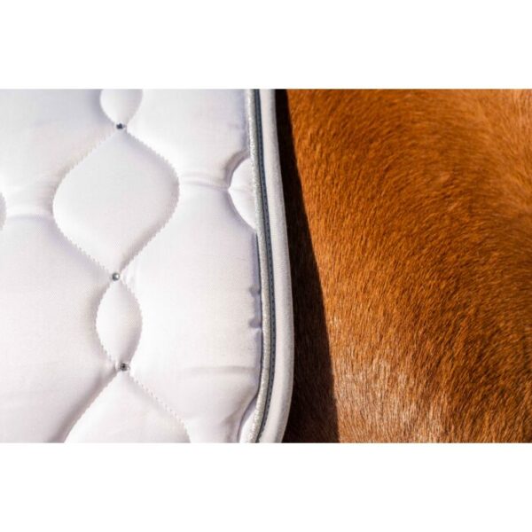 Sottosella -Concorso di Dressage- - immagine 6