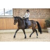 Sottosella -Rosewood- - immagine 10