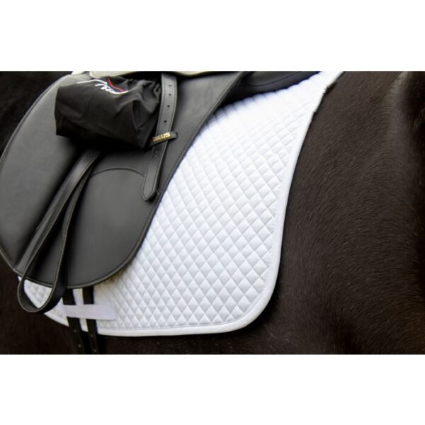 Sottosella a trapunta piccola, Dressage - immagine 2