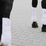 Paratendini Pro Dressage Front - immagine 3